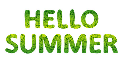 Hello summer lettering. Green letters with foliage texture. Vector illustration, isolated on white background