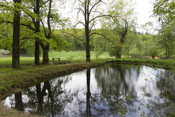 Clear green Forest from the spring Mountains in southern Czech, Czech Republic