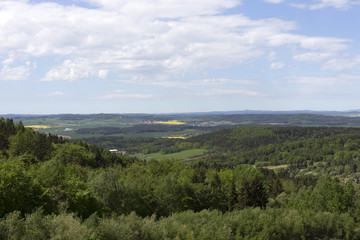 Fototapeta na wymiar Clear green Forest from the spring Mountains in southern Czech, Czech Republic