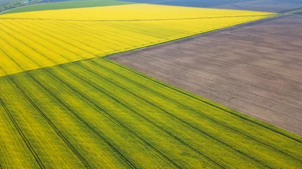 Foto op Plexiglas Luchtfoto Aerial view of yellow rapeseed field. Aerial view agricultural fields.