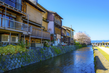 Fototapeta na wymiar 桜と京都の街並みの風景