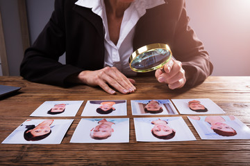 Businessperson Looking At Candidate's Photograph