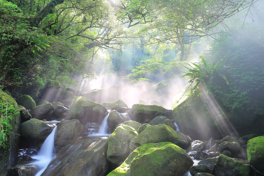 Fototapeta Beautiful waterfalls and sunbeams in jungle ~ Refreshing cascades in a mysterious forest with rays of sunlight shining through the misty air in lush greenery ~ River scenery of Taiwan
