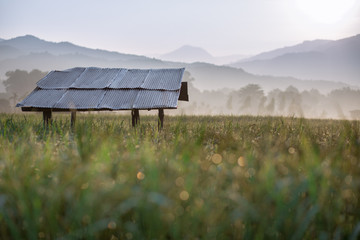 Morning atmosphere with fields and mountains behind. It is beautiful in nature. The sun is light and has a faint line. This is a beautiful place in Nan. Northern Thailand