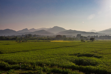 Morning atmosphere with fields and mountains behind. It is beautiful in nature. The sun is light and has a faint line. This is a beautiful place in Nan. Northern Thailand
