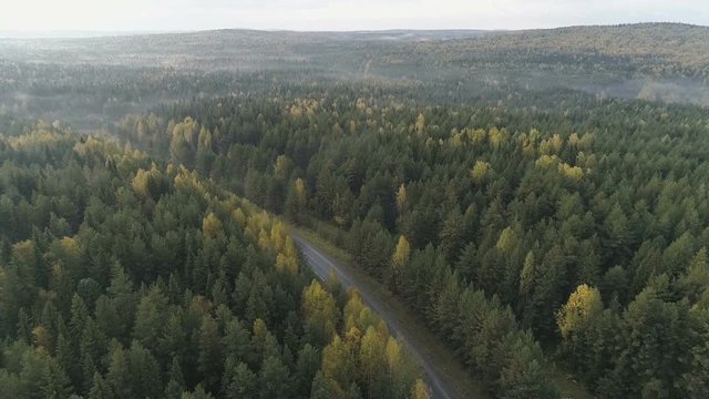 The car is driving along the forest road