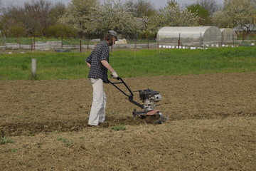 Fototapeta na wymiar A man plows a tiller in the garden. Spring cultivation of the garden.
