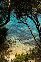 A wild beach with clear blue water, surrounded by trees, Corsica, France. © Fabs_Psn