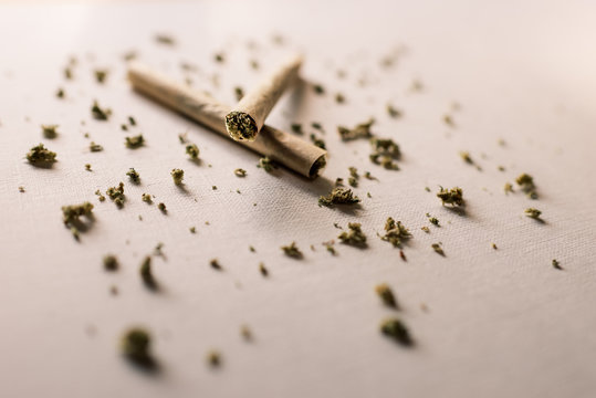 Weed Cannabis Pot Marijuana Joint Blunt Splif Rolled 