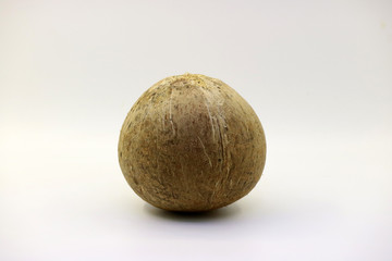 Tropical fruit coconut object