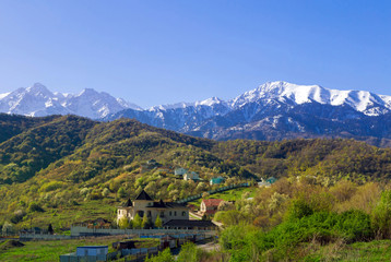 Fototapeta na wymiar Green highlands in the morning, snowcapped mountains in the background. Spring rural landscape.