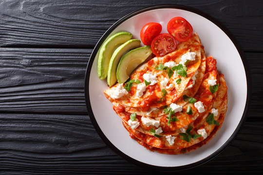 Serving Mexican Entomatadas with cottage cheese, tomato sauce, greens and avocado close-up. horizontal top view