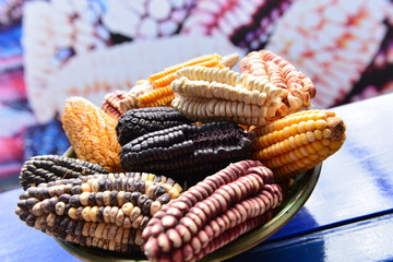 ma&iacute;z / corn / peru