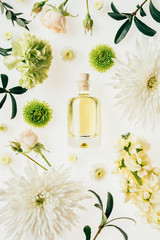 top view of bottle of aromatic perfume surrounded with flowers and green branches on white - obrazy, fototapety, plakaty