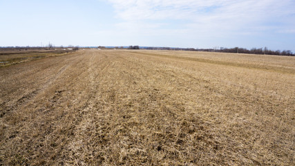 dry field after winter