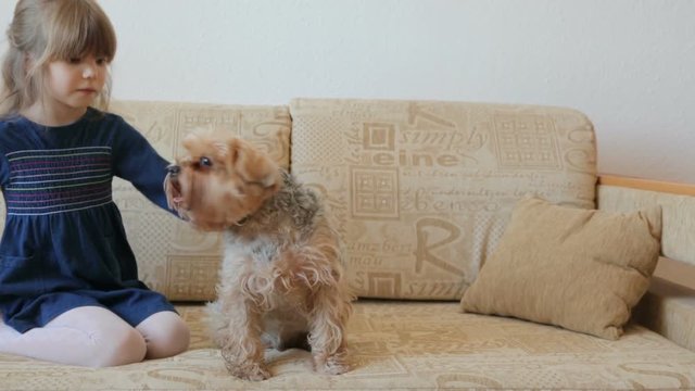 Little girl stroking dog on couch