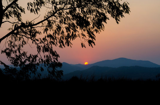 landscape of silhouette of tree and mountain view at sunset
