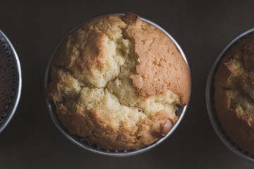 Cheese Muffin from 90 degree view