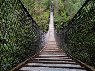 Lynn Canyon Suspension Bridge in Lynn Valley Provincial Park.  Narrow bridge hanging over canyon. North Vancouver. British Columbia. Canada.