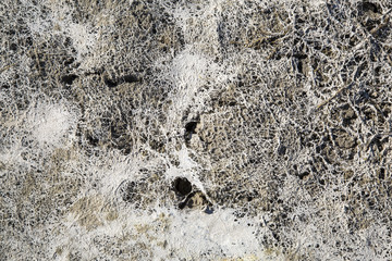 Horror - Background - scary - dry - desert