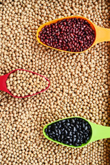 Assortment of beans in spoon on soybean for background