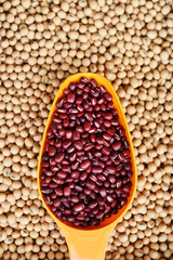 close up of red bean in spoon on soybean for background
