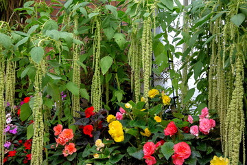 ドメインウィンターガーデン