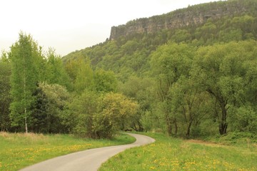 Elberadweg in der Böhmischen Schweiz bei Decin