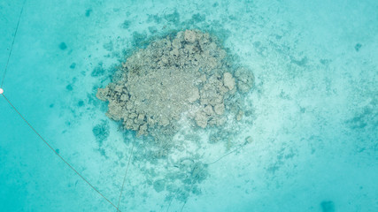 Aerial top view coral reef Maldives Island in Indian Ocean.