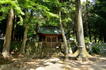 木漏れ日の神社