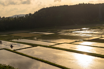 Countryside scenery in evening of Ichihara city, Chiba prefecture, Japan