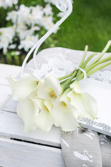 Bouquet of white calla flowers (Zantedeschia) in the garden