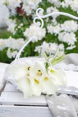 Bouquet of white calla flowers (Zantedeschia) in the garden