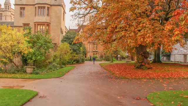 Balliol College Oxford- Foliage in Autumn