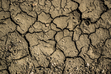 Terra bruciata e screpolata al sole