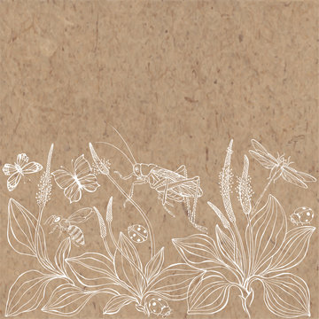 Floral vector background with plantain, insects and  place for text on kraft paper. Invitation, greeting card or an element for your design.