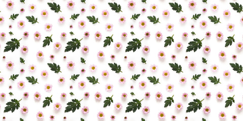 Seamless pattern from plants, pink chrysanthemum flowers and  green leaves isolated on white background, flat lay, top view. The concept of summer, spring, Mother's Day, March 8. 