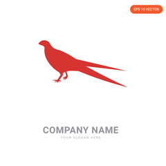  company logo design