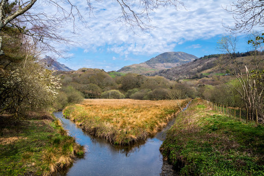 Concept of choice with rivers spliting in two ways