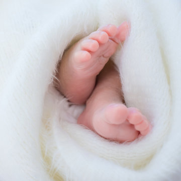 Newborn Baby Feet