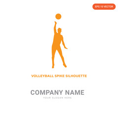 volleyball spike company logo design