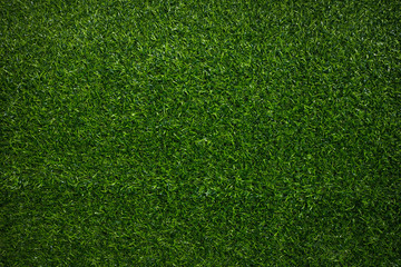 Fototapeta premium green grass background texture.