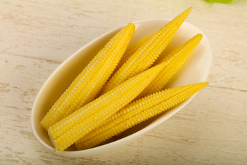 Young baby corn