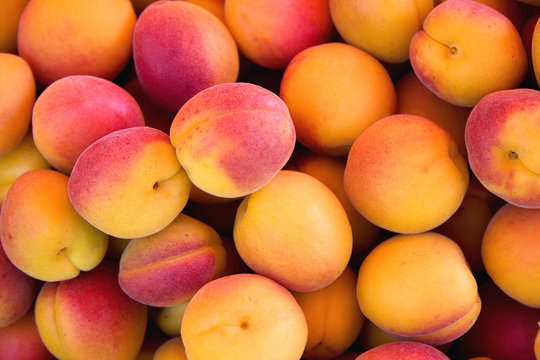 Apricots background