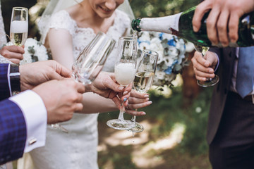 Couple of newlyweds, bride and groom together with bridesmaids and groomsmen drinking champagne outdoors hands closeup, wedding celebration with friends