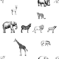 Seamless pattern of hand drawn sketch style animals isolated on white background. Vector illustration.