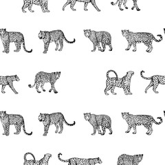 Seamless pattern of hand drawn sketch style leopards isolated on white background. Vector illustration.