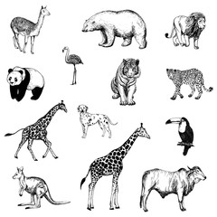 Set of hand drawn sketch style animals and birds isolated on white background. Vector illustration.