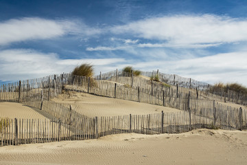 Windy day at the sand dune at French Mediterranean beach of Espiguette.