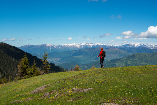 Hiker is walking along a green mountain meadow